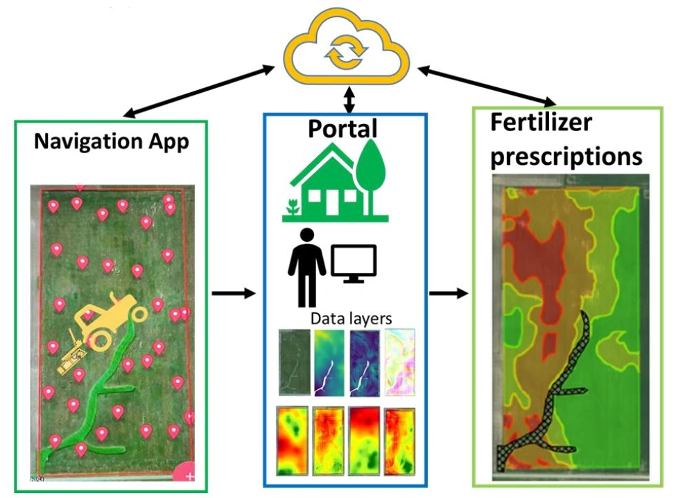 Soil property maps generated by N-Sense software